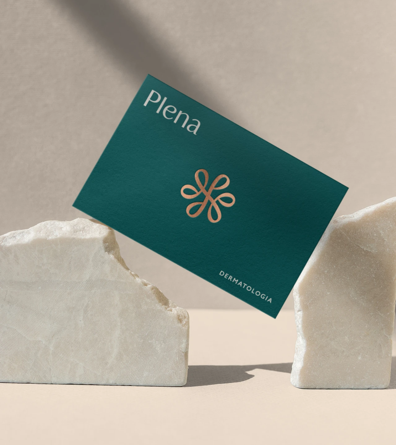 Imagem de trabalho Plena 1